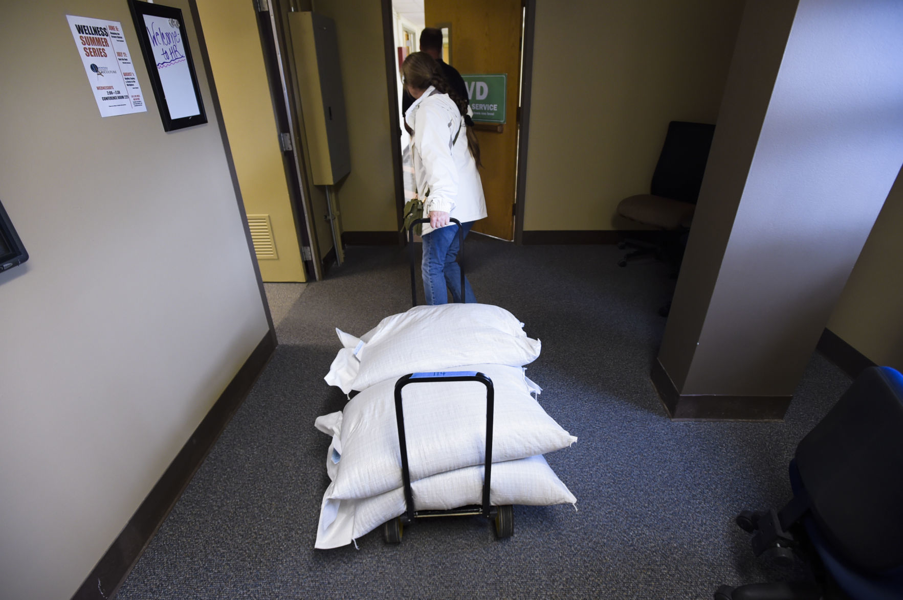 Phillips wheels her industrial hemp seeds through the Department of Agriculture Monday afternoon.